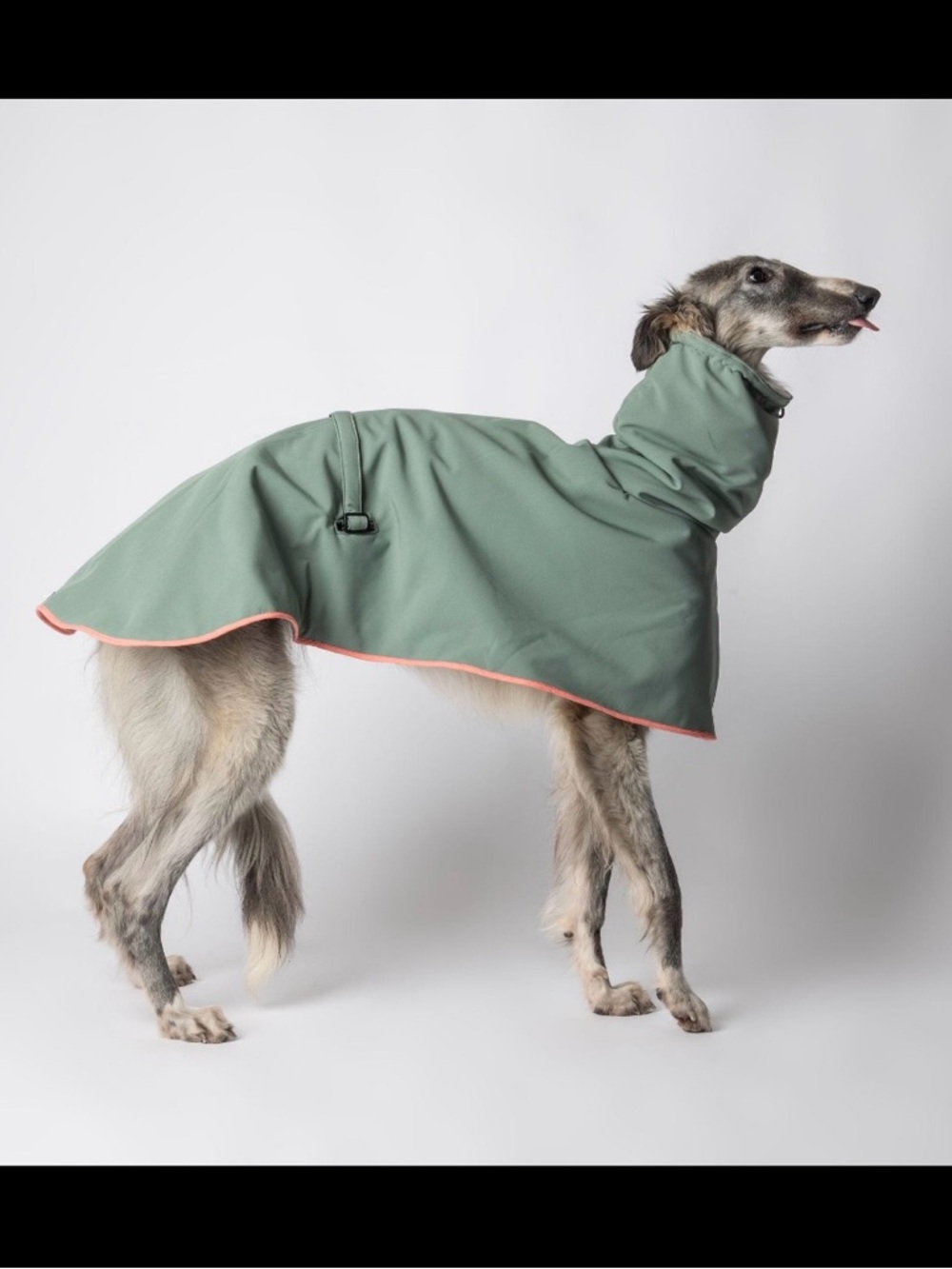 Whippet Waterproof Dog Coat | Handmade in Spain
